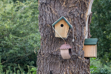 Bird nesting boxes on a tree trunk.