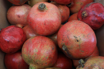 pomegranate