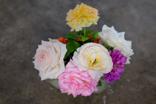 Bouquet of Multicolor Roses
