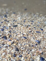 pebbles on the beach