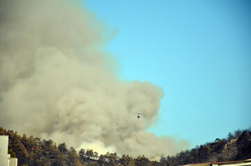 Wildfire in the forest near a resort town.Marmaris, Turkey. Summer 2021