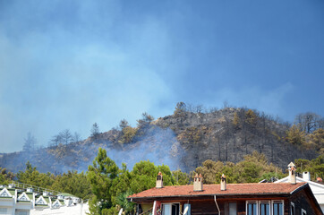 Wildfire in the forest near a resort town.Marmaris, Turkey. Summer 2021