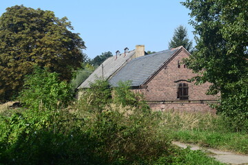 Polish countryside and agriculture