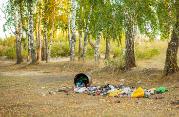 Environmental pollution. Garbage in a forest. People illegally throw out the garbage in the forest. Concept of man and nature. Illegal garbage dump in nature.