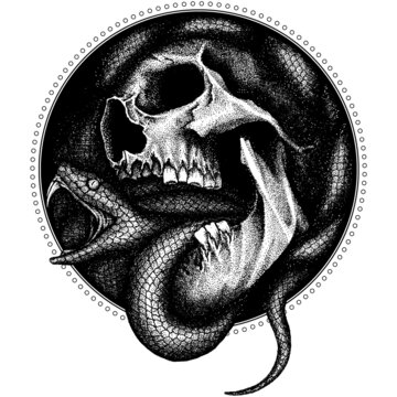 skull black and white snake