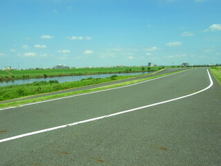 夏の江戸川サイクリング道路風景