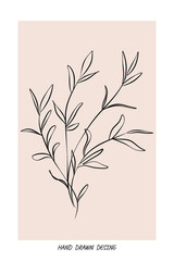 collection forest fern eucalyptus art foliage natural
leaves herbs inline style. Decorative beauty, elegant illustration 
Vector Flower Botanical