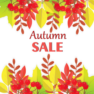 Autumn leaves composition vector image 
