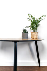Coffee table with plants - Bright interior - Minimal mock up background - White walls, wooden flooring, copy space
