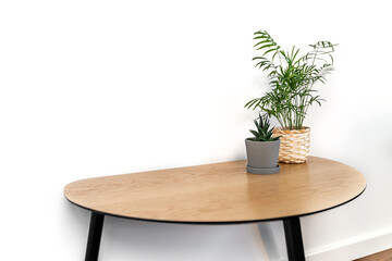 Round table with plants - Bright interior - Minimal mockup background - White walls, wooden flooring, copy space