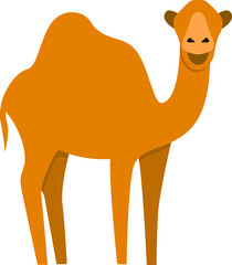 camel cartoon illustration