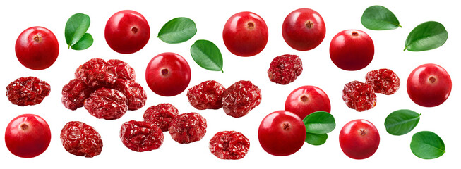 Fresh and dried cranberry set isolated on white background. Package design elements with clipping path
