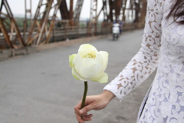 White fresh lotus held by Vietnamese lady in White Lace Ao Dai on ancient famous Long Bien Bridge of Ha Noi, Vietnam