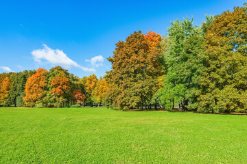 Naklejka premium Colorful trees by the lawn at autumn sunny day time.