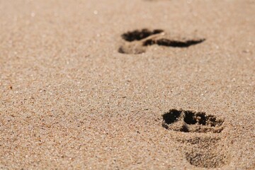 footprint in sand