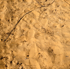 A patch of sandy surface with  forming a natural, sophisticated pattern suitable for a beautiful backdrop.