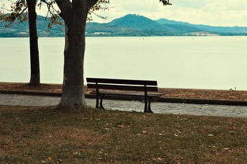 An isolated empty bench under the tree in a public park near a pedestrian walkway in front of Lake Trasimeno (Umbria, Italy, Europe)