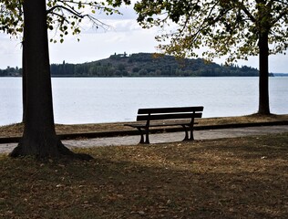 An isolated empty bench under the tree in a public park near a pedestrian walkway in front of Lake Trasimeno (Umbria, Italy, Europe)