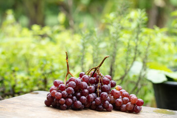 small purple grapes piled on a wooden table