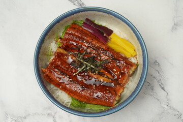 Unagi don Eel rice bowl