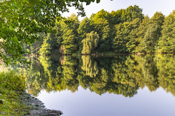 Brda river flowing through the forest. Poland. Kuyavian-Pomeranian Voivodeship. September 2021.