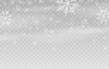 Vector snow. Snow on an isolated transparent background. Snowfall, blizzard, winter, snowflakes. Christmas image.