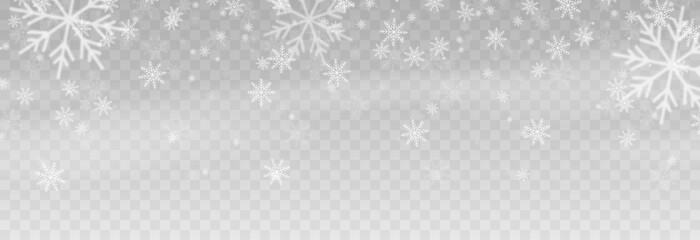 Vector snow. Snow on an isolated transparent background. Snowfall, blizzard, winter, snowflakes. Christmas image.