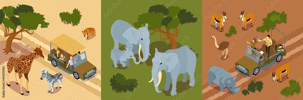 Wall mural Isometric Safari Design Concept