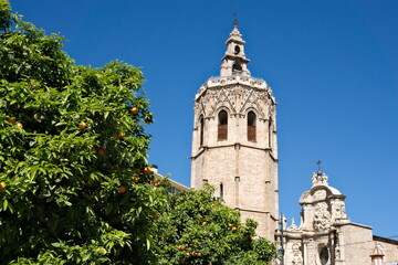Fototapeta na wymiar Cathedral of Valencia behind orange trees at a blue summer day