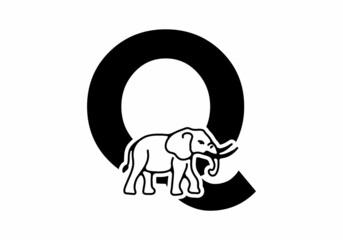 Initial letter Q with elephant shape line art