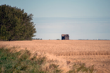 An abandoned old farm house in a field.  The house image is distorted from the heat waves creating...