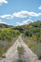 Fototapeta na wymiar Dirt road in the rural countryside of the Qu'Appelle Valley in the Saskatchewan prairies of Canada on a bright early autumn day