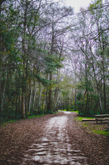 Obraz premium Autumn in the park