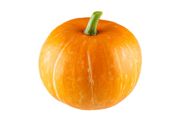 Fresh pumpkin isolated on white background.