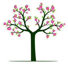 Obraz premium Spring tree with flowers. Vectro illustration.