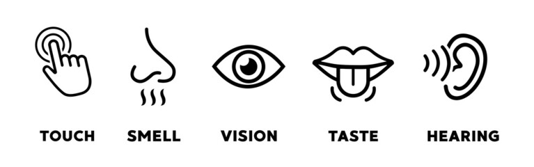 Five senses vector icons set. vision, hearing, touch, taste, smell - obrazy, fototapety, plakaty