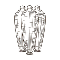 Set ceramic vases engraved style isolated on white background. Vintage sketch outline close up.