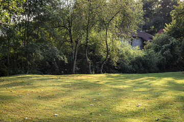 moved clean lawn in front of house covered with forest in Latvia. Sun shines through trees and makes highlighted spots and darker shadows on meadow