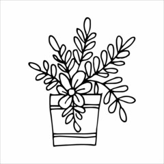 Hand drawn indoor plant in a pot, doodle design. Home plants. Illustration for print, web, mobile and infographics.