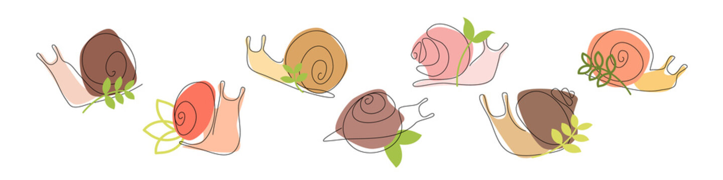 Set of snails of different forms. Vector one line flat. Isolated on white. Nature doodle concept. For cosmetic with snail mucin, print, store, fashion, accessories, media, postcard, package, wrapping.