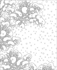 Snow-covered fir-tree branches on a snowy and frosty winter day, black and white vector cartoon illustration