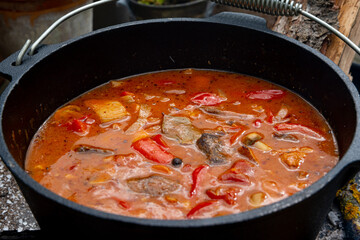 Kettle goulash is prepared over an open fire!