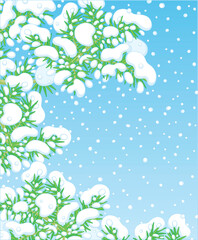 Christmas background with snow-covered green fir-tree branches on a snowy and frosty winter day, vector cartoon illustration
