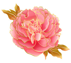Pastel pink peony flower in oriental trend