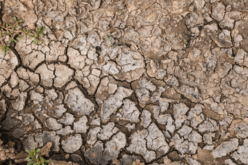 Dry textured ground surface as background, top view. Thirsty soil