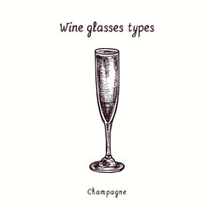 Wine glasses types collection, Champagne. Ink black and white doodle drawing in woodcut style.