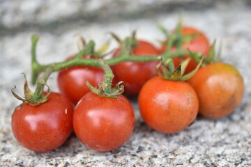 tomates cherry