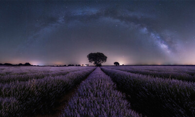 Panoramic view of the Milky Way arch above the lavender field. Space background. Copy space