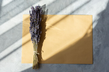 Dry lavender bouquet on a gray background close - up view from above. Collecting beautiful summer flowers. The concept of aromatherapy, cosmetology, alternative medicine. Shadows, flat lay, copy space