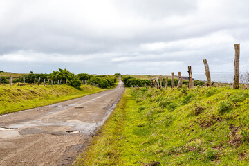 Easter Island (Rapa Nui or Isla de Pascua) landscape with meadows, Chile